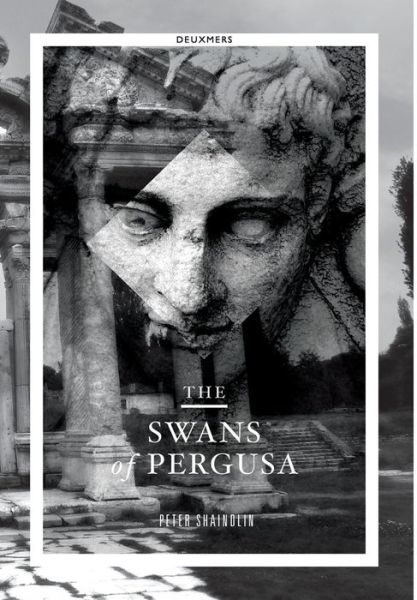 Cover for Peter Shaindlin · The Swans of Pergusa (Hardcover Book) (2015)