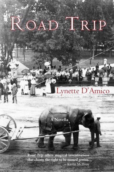 Cover for Lynette D\'amico · Road Trip (Paperback Book) (2015)