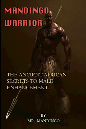 Cover for Mandingo Warrior (Book) (2015)