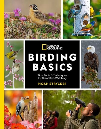 Cover for Noah Strycker · National Geographic Birding Basics: Tips, Tools, and Techniques for Great Bird-watching (Paperback Book) (2022)