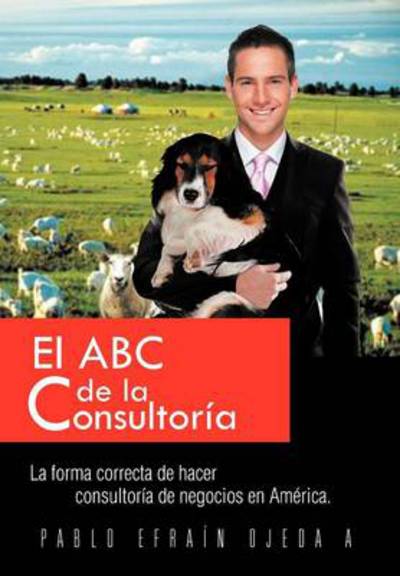 Cover for Pablo Ojeda · El Abc De La Consultoria: La Forma Correcta De Hacer Consultoria De Negocios en America. (Hardcover Book) (2013)
