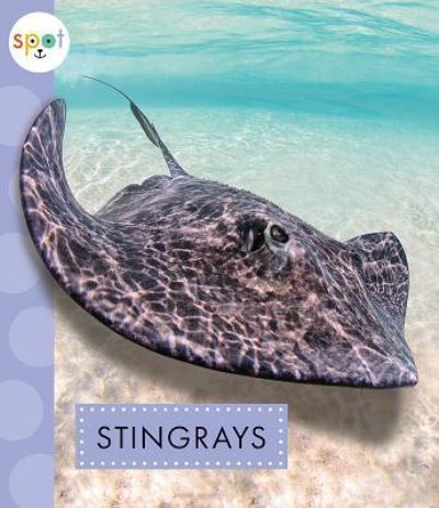 Cover for Mari C. Schuh · Stingrays (Book) (2019)