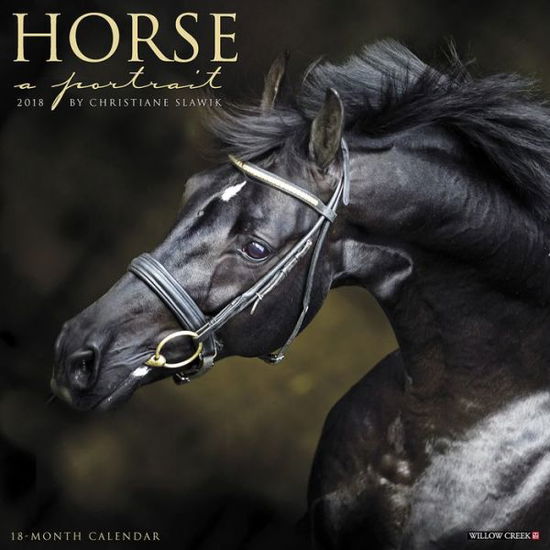 Cover for Willow Creek Press · Horse: A Portrait 2018 Wall Calendar (Book) (2017)