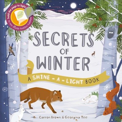 Cover for Carron Brown · Shine a Light: Secrets of Winter: A shine-a-light book - Shine-A-Light (Paperback Bog) (2017)