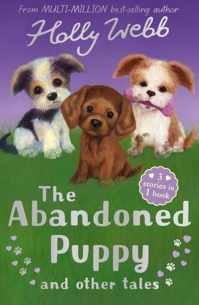 Cover for Holly Webb · The Abandoned Puppy and Other Tales: The Abandoned Puppy, The Puppy Who Was Left Behind, The Scruffy Puppy - Holly Webb Animal Stories (Pocketbok) (2021)