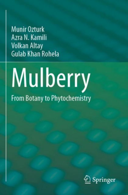 Cover for Munir Ozturk · Mulberry: From Botany to Phytochemistry (Paperback Book) (2024)