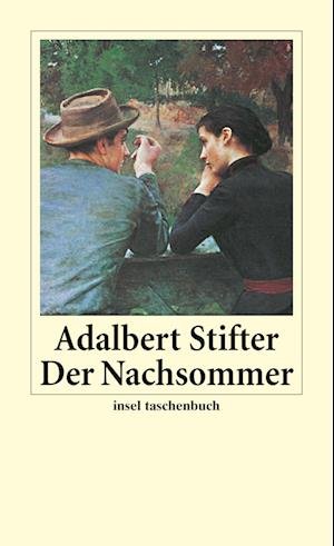 Cover for Adalbert Stifter · Insel TB.3119 Stifter.Nachsommer (Bok)