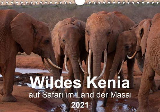 Cover for Schurig · Wildes Kenia - auf Safari im La (Book)