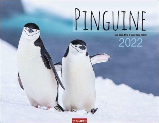 Cover for Klein · Pinguine Kalender 2022 (N/A)