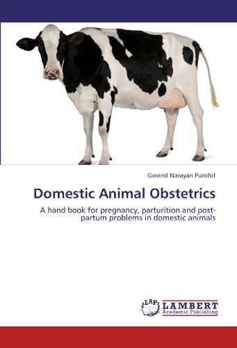 Cover for Govind Narayan Purohit · Domestic Animal Obstetrics: a Hand Book for Pregnancy, Parturition and Post-partum Problems in Domestic Animals (Pocketbok) (2012)