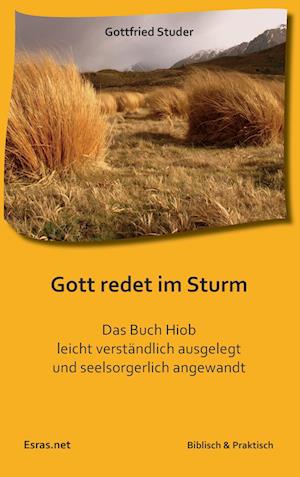 Cover for Gottfried Studer · Gott redet im Sturm (Paperback Book) (2016)