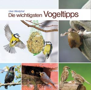 Cover for Uwe Westphal · Die Wichtigsten Vogeltipps (Book) (2012)