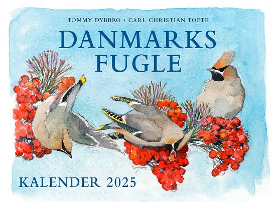 Carl Christian Tofte; Tommy Dybbro · Danmarks fugle - kalender 2025 (Bound Book) [1º edição] (2024)