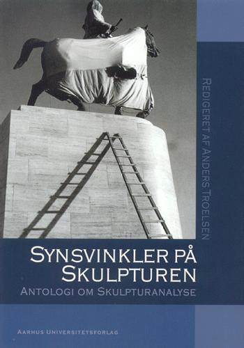 Synsvinkler på skulpturen - . - Books - Aarhus Universitetsforlag - 9788772889191 - May 31, 2002