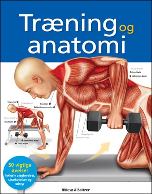 Cover for Ken Ashwell · Træning og anatomi (Sewn Spine Book) [1st edition] (2014)