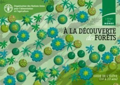 Cover for Food and Agriculture Organization of the United Nations · A la decouverte des forets: Guide de l'eleve (Paperback Book) (2019)