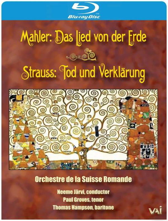 Cover for Mahler / Strauss / Orchestre De La Suisse Romande · Orchestre De La Suisse Romande / Tod Und (Blu-Ray) (2013)