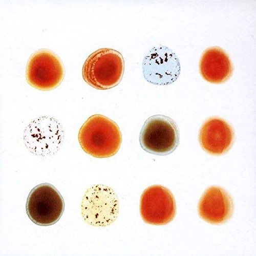 Scratch My Back - Peter Gabriel - Musique - POP - 0180030000192 - 16 février 2010