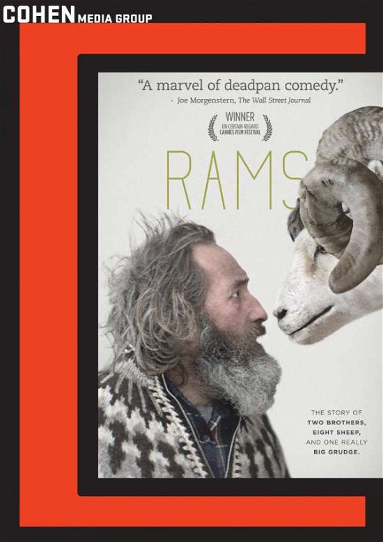 Rams - Rams - Filmy - SONY PICTURES/E1/VISION - 0741952817192 - 28 czerwca 2016