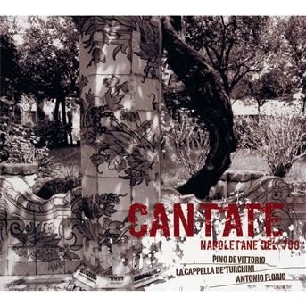 Cover for Vittorio,pino De / Capella De'turchini / Florio · Cantate Napoletane Del 700 (CD) (2009)