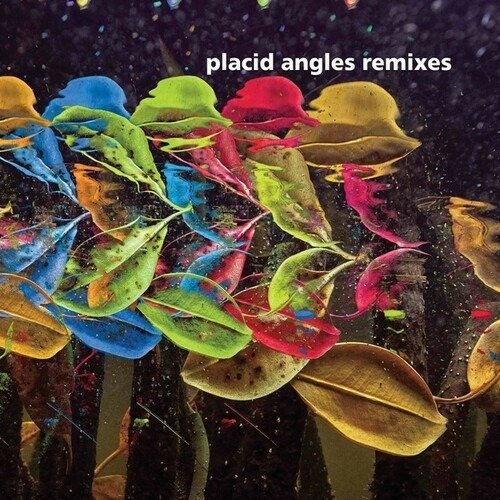 Cover for Placid Angles · Touch The Earth Remixes (LP) (2022)