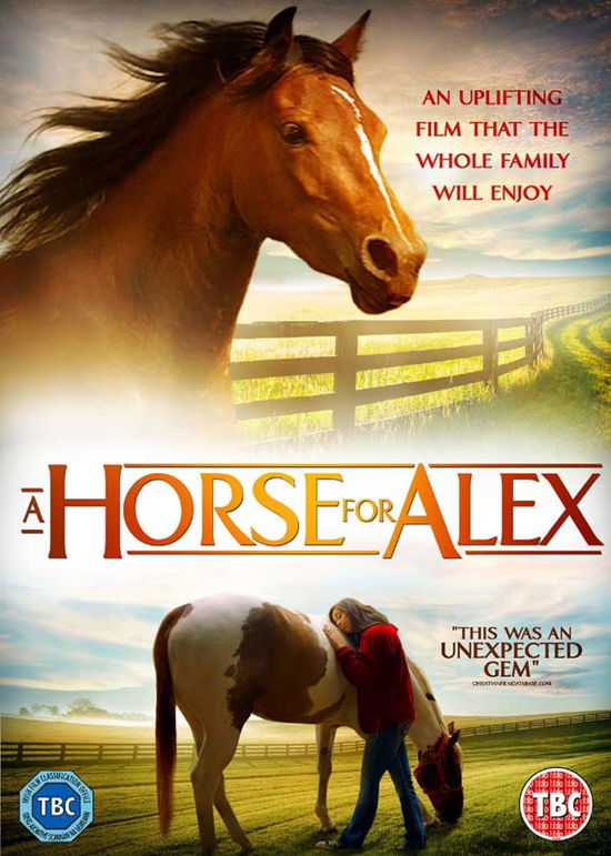 Cover for A Horse for Alex · A Horse For Alex (DVD) (2018)