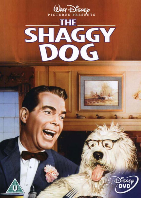 The Shaggy Dog - Movie - Films - Walt Disney - 8717418095192 - 17 juillet 2006