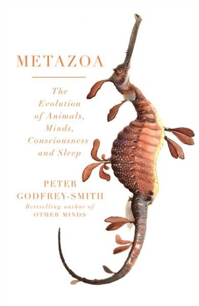 Cover for Peter Godfrey-Smith · Metazoa: Animal Minds and the Birth of Consciousness (Hardcover bog) (2020)