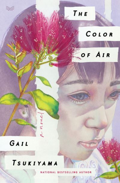 Cover for Gail Tsukiyama · The Color of Air: A Novel (Hardcover Book) (2020)