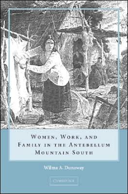 Cover for Dunaway, Wilma A. (Virginia Polytechnic Institute and State University) · Women, Work and Family in the Antebellum Mountain South (Hardcover Book) (2008)