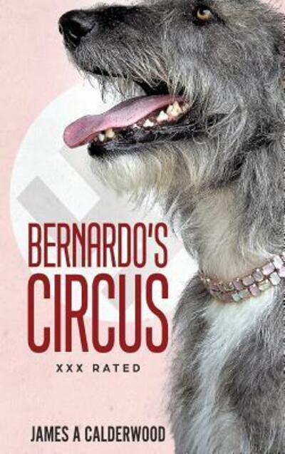 Cover for James a Calderwood · Bernado's Circus (Hardcover Book) (2018)