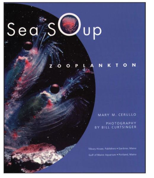 Cover for Mary M. Cerullo · Sea Soup: Zooplankton (Hardcover Book) (2001)