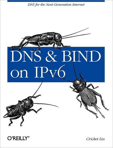 Cover for Cricket Liu · DNS and BIND on IPv6 (Taschenbuch) (2011)