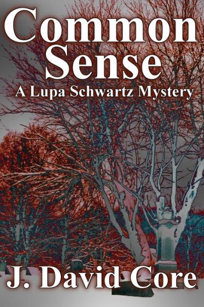 Cover for J David Core · Common Sense: a Lupa Schwartz Mystery (Pocketbok) (2014)