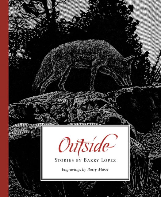 Cover for Barry Lopez · Outside: Stories by Barry Lopez (Taschenbuch) (2025)