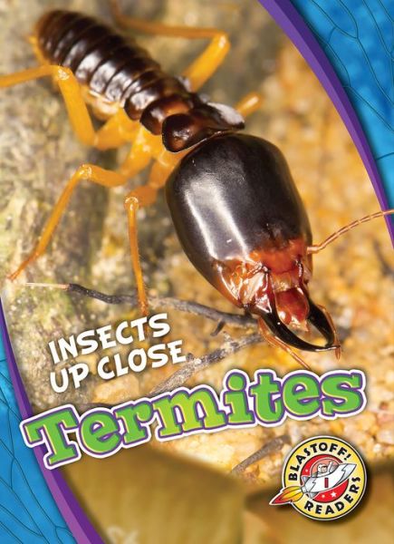 Cover for Patrick Perish · Termites - Insects Up Close (Gebundenes Buch) (2020)