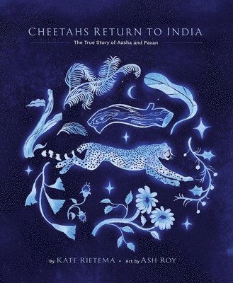 Cover for Kate Rietema · Cheetahs Return to India: The True Story of Aasha and Pavan (Hardcover Book) (2025)