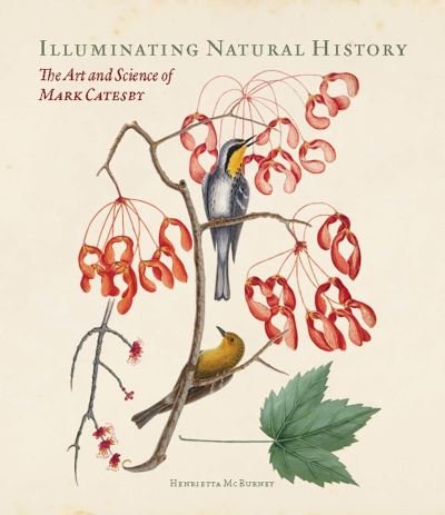 Cover for Henrietta McBurney · Illuminating Natural History: The Art and Science of Mark Catesby (Hardcover bog) (2021)