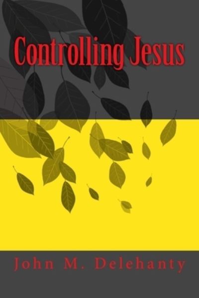 Cover for John M Delehanty · Controlling Jesus (Pocketbok) (2015)