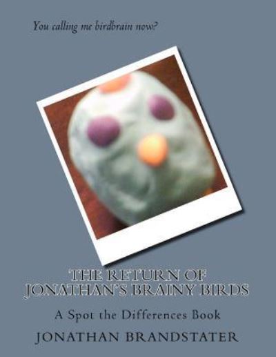 Cover for Jonathan Jay Brandstater · The Return of Jonathan's Brainy Birds (Paperback Book) (2017)