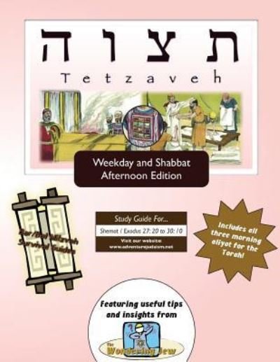 Bar / Bat Mitzvah Survival Guides - Elliott Michaelson Majs - Kirjat - Adventure Judaism Classroom Solutions, I - 9781987847192 - sunnuntai 18. joulukuuta 2016