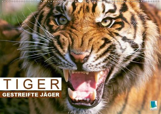 Cover for Tiger · Gestreifte Jäger aus Asien (Wand (Book)