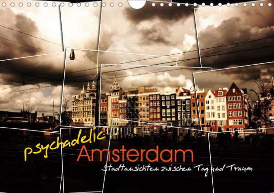 Cover for Reininger · Psychadelic Amsterdam - Stadt (Book)