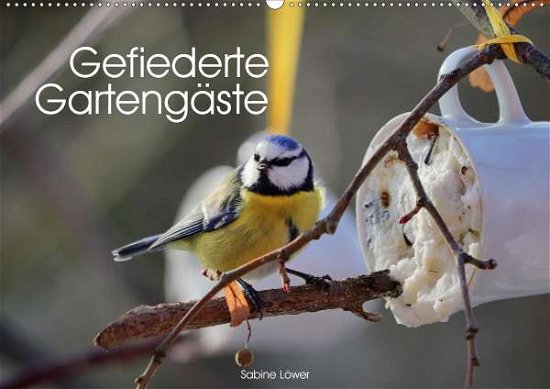 Cover for Löwer · Gefiederte Gartengäste (Wandkalen (Buch)