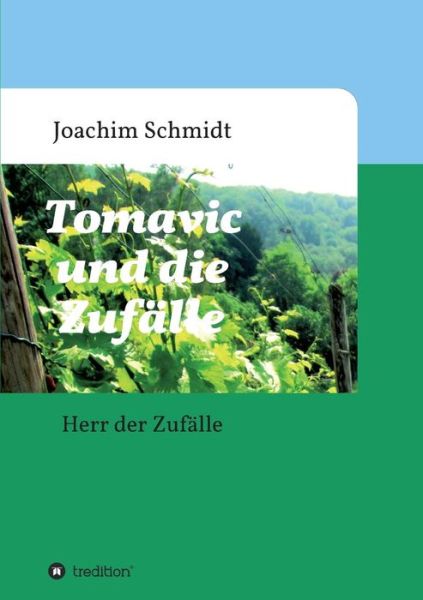 Cover for Joachim Schmidt · Tomavic Und Die Zufälle (Paperback Book) [German edition] (2014)