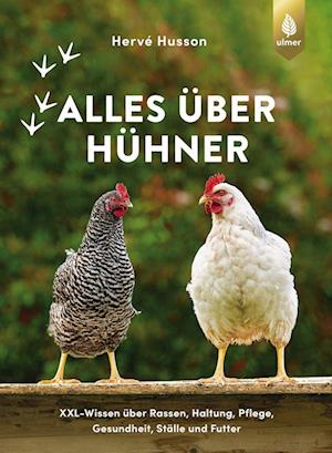 Cover for Hervé Husson · Alles über Hühner (Hardcover Book) (2022)
