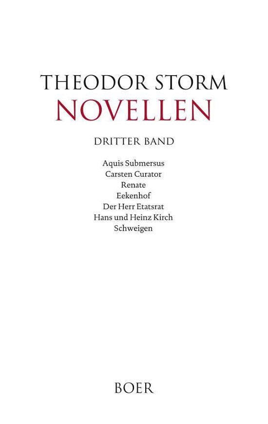 Cover for Storm · Novellen dritter Band (Bog)
