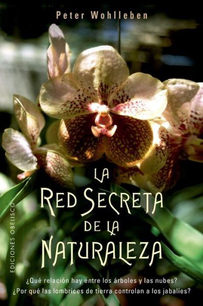 Cover for Peter Wohlleben · La red secreta de la naturaleza (Paperback Book) (2019)