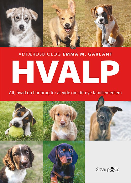 Cover for Emma M. Garlant · Hvalp (Hardcover Book) [1º edição] (2022)