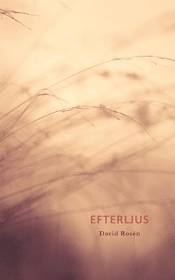 Cover for David Rosén · Efterljus (Paperback Book) (2013)